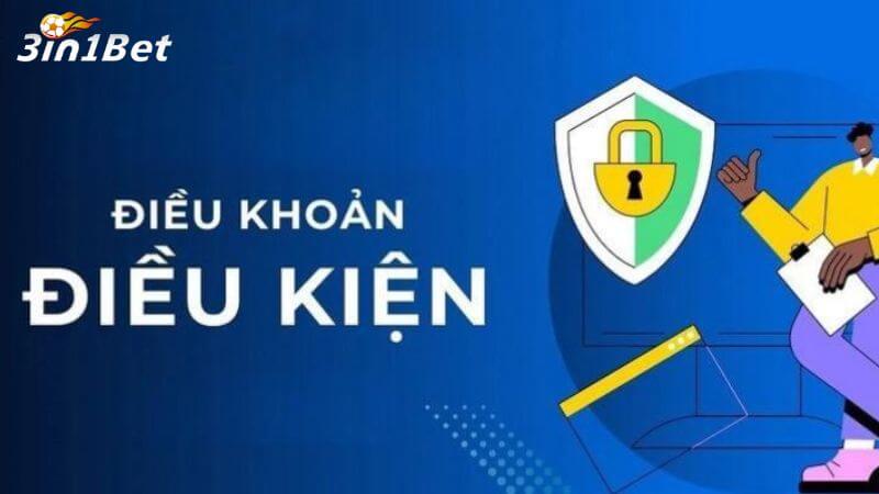 Tổng quan về điều khoản và điều kiện tại 3in1bet